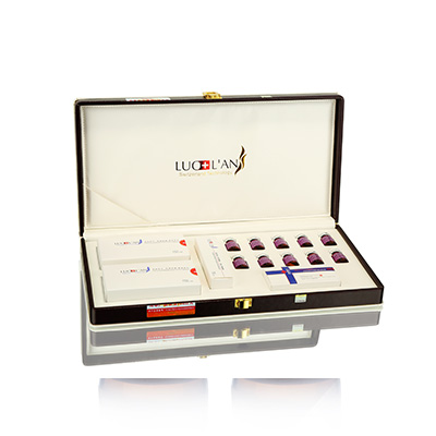 西充养芯修复综合版